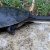 An eastern long-necked turtle heads for higher ground after torrential rains in the Dawn Road Reserve
