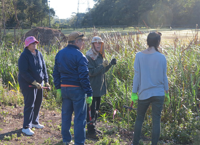 The Dawn Road Reserve Bushcare group's patron, Janet Mangan, takes a group of new volunteers through some of the features of the newest revegetation site.