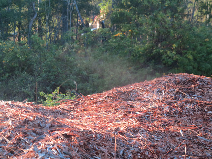 When the Dawn Road Reserve Bushcare group arrived on a crisp May morning, the mountain of woodchip awaiting spreading was so warm that it was steaming