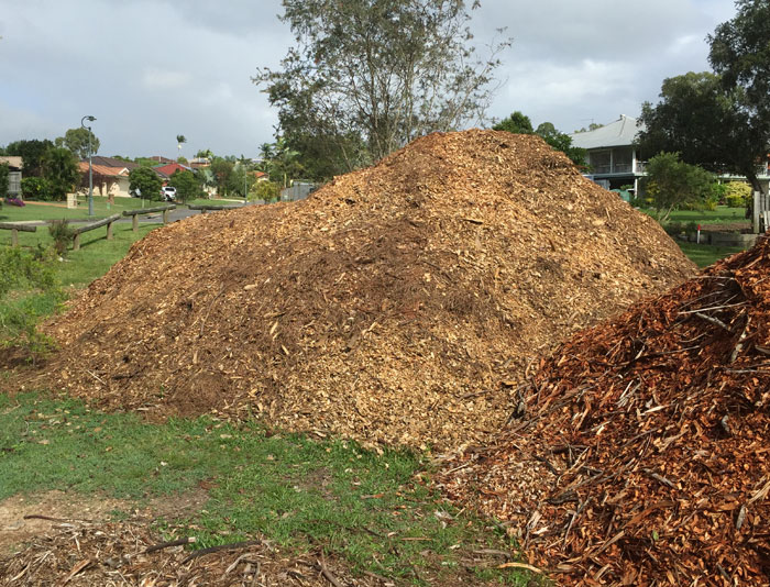 Just two of several sizeable piles of woodchips left on the Dawn Road Reserve that will be used across the revegetation areas